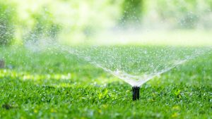 Read more about the article SUMMER PLUMBING TROUBLES: HOW TO AVOID COMMON ISSUES DURING HOT WEATHER